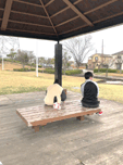 2023年3月